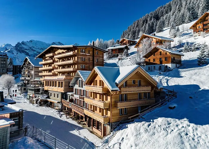 Casa de hóspedes Eiger 2*